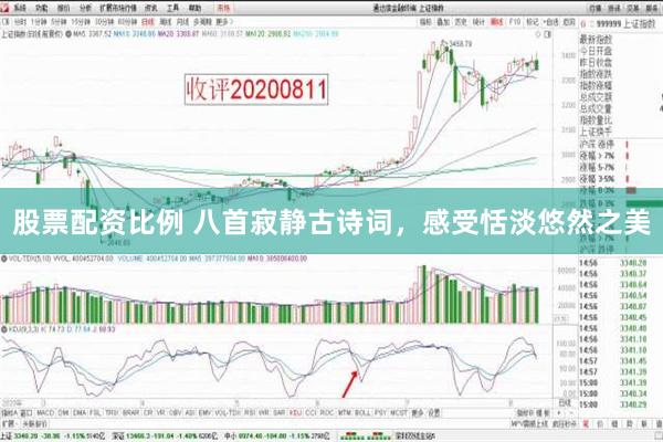 股票配资比例 八首寂静古诗词，感受恬淡悠然之美