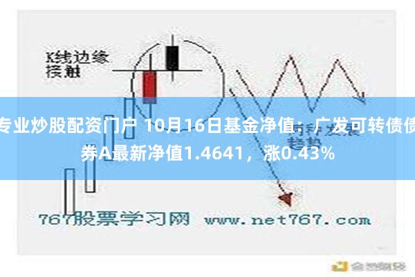 专业炒股配资门户 10月16日基金净值：广发可转债债券A最新净值1.4641，涨0.43%