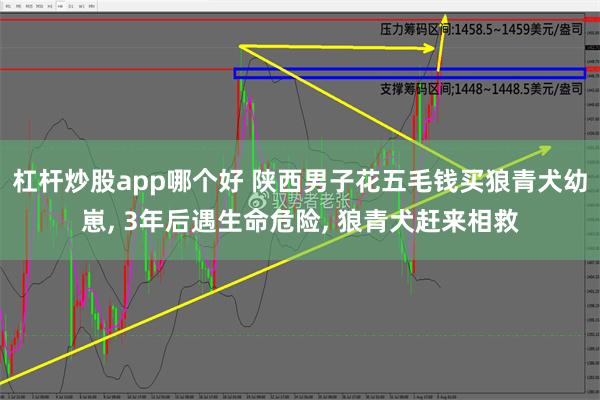 杠杆炒股app哪个好 陕西男子花五毛钱买狼青犬幼崽, 3年后遇生命危险, 狼青犬赶来相救