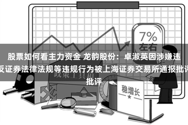 股票如何看主力资金 龙韵股份：卓淑英因涉嫌违反证券法律法规等违规行为被上海证券交易所通报批评