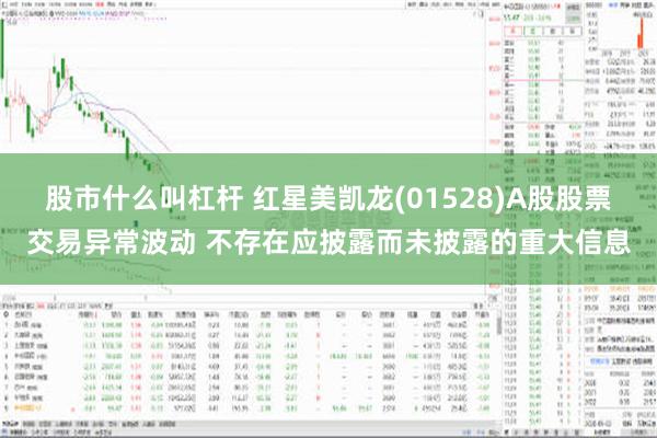 股市什么叫杠杆 红星美凯龙(01528)A股股票交易异常波动 不存在应披露而未披露的重大信息
